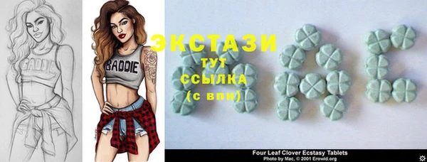 стаф Алексин