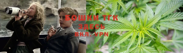 молекула духа Алексеевка