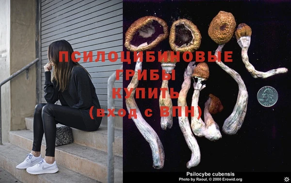 кокаин колумбия Алзамай