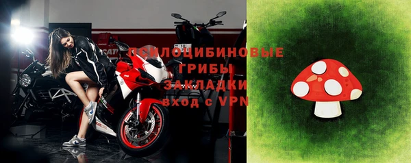 молекула духа Алексеевка