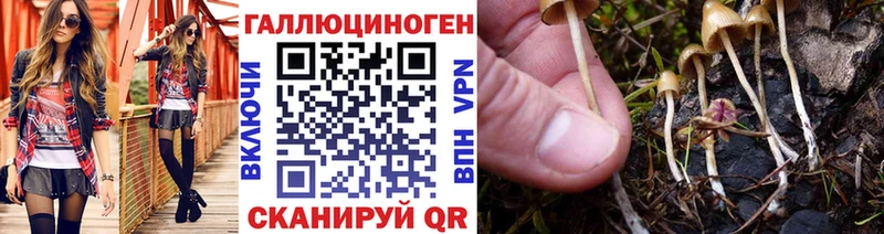 Галлюциногенные грибы Psilocybe  Краснообск 